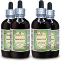 Dried Whole Plant Alcohol-Free Liquid Extract 4x4 oz F742926