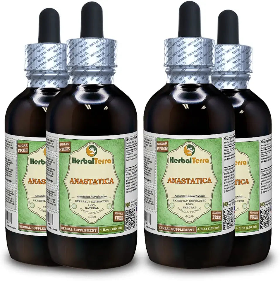 Dried Whole Plant Alcohol-Free Liquid Extract 4x4 oz F742926
