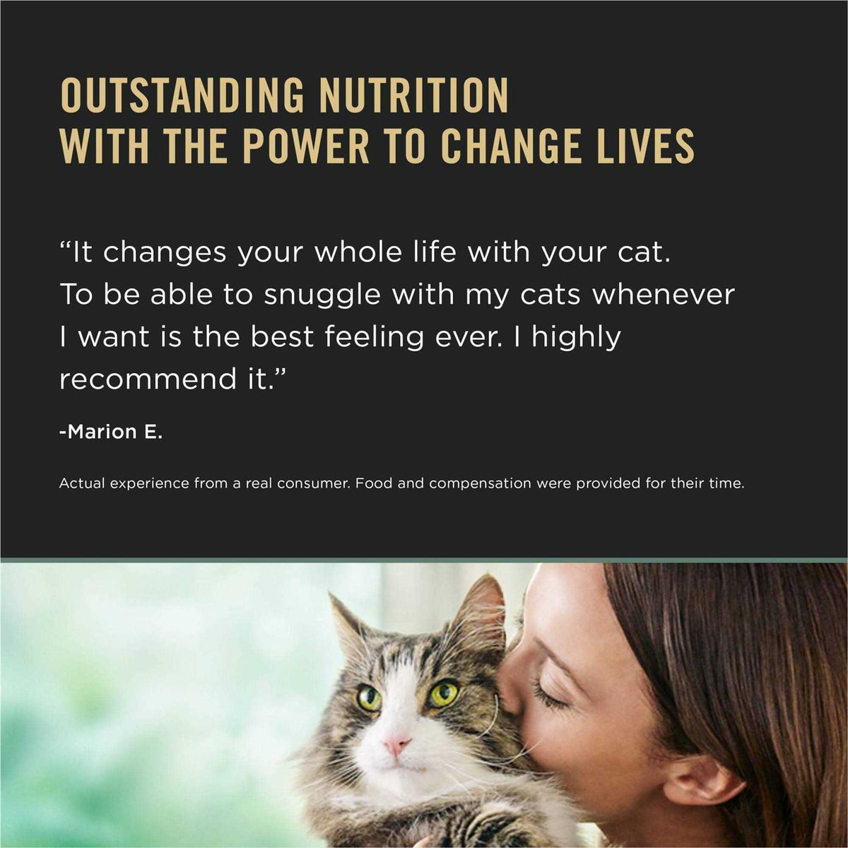 Chicken & Rice Dry Cat Food for Kittens S2935