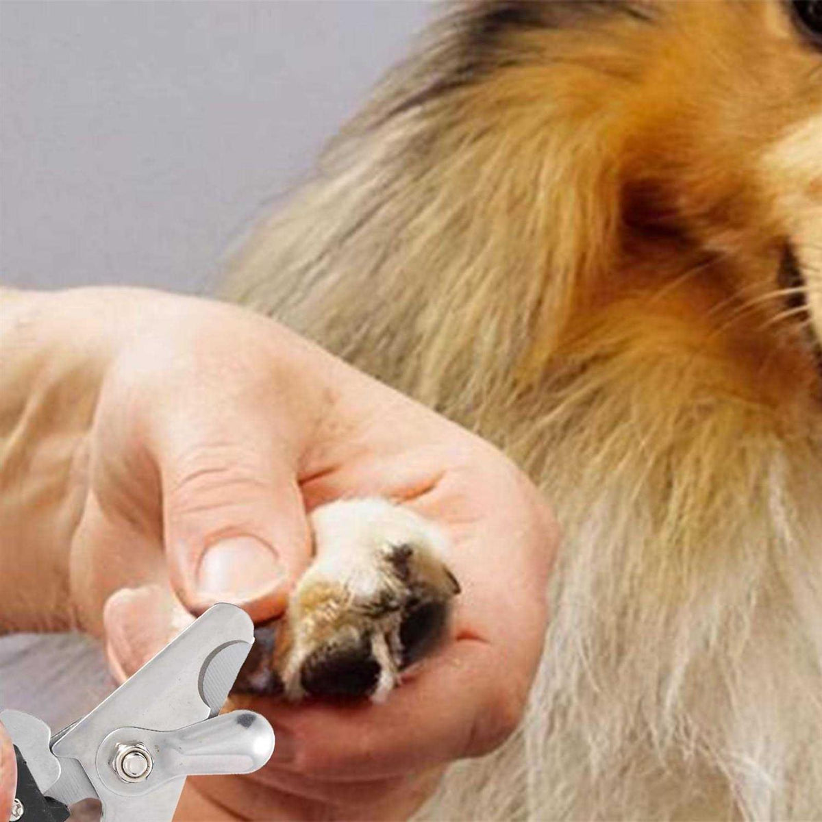 2 Pack Pet Nail Trimmer Clipper Set with 2 Nail Files D79675