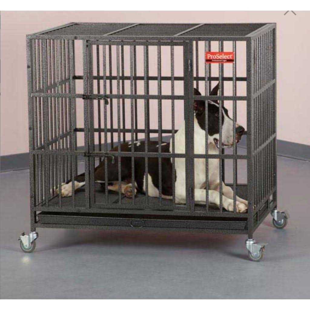 Dog Cage A108354