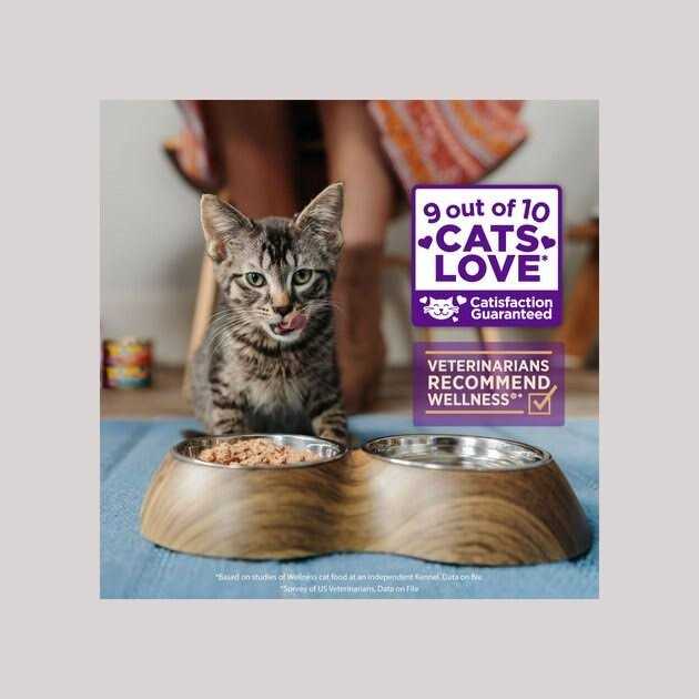 Grain Free Wet Cat Food N4464