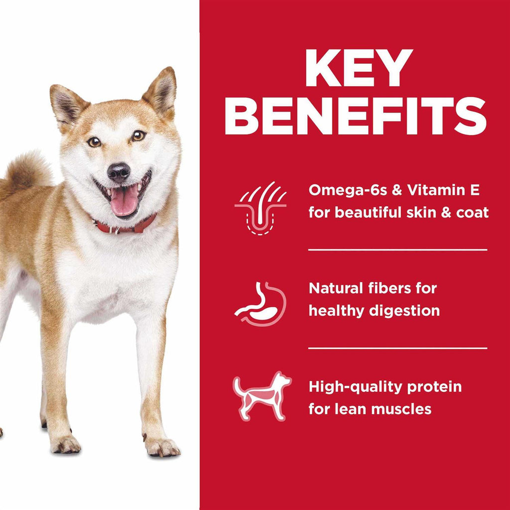 Chicken Dry Dog Food J666