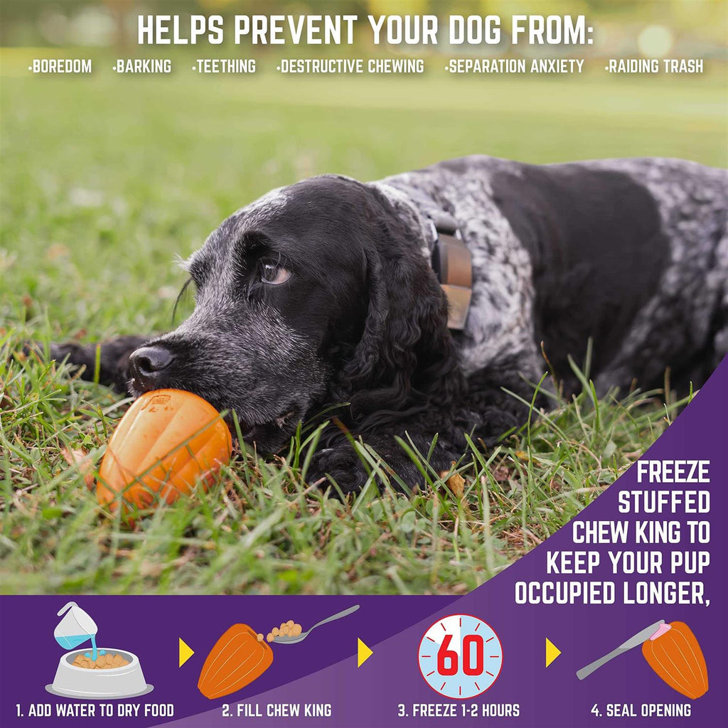 Dog Toy Z33602