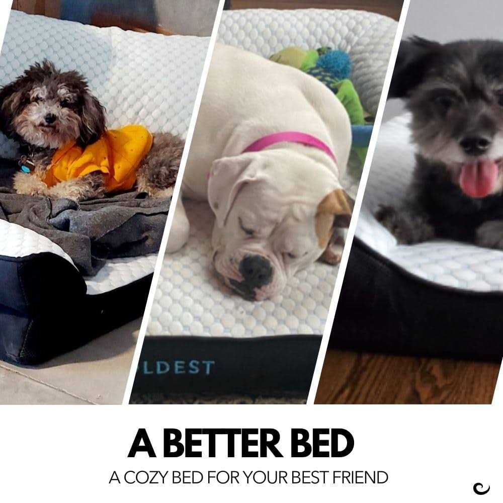 Cozy Cooling Dog Bed J811096