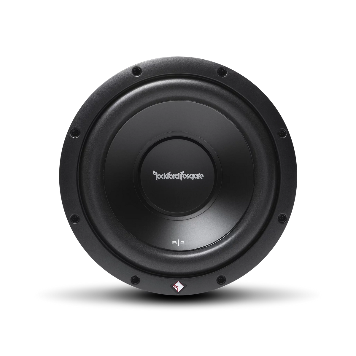10" 500W Dual Car Subwoofer L1001