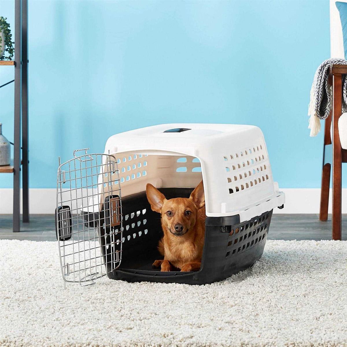 Compass Kennel V720509
