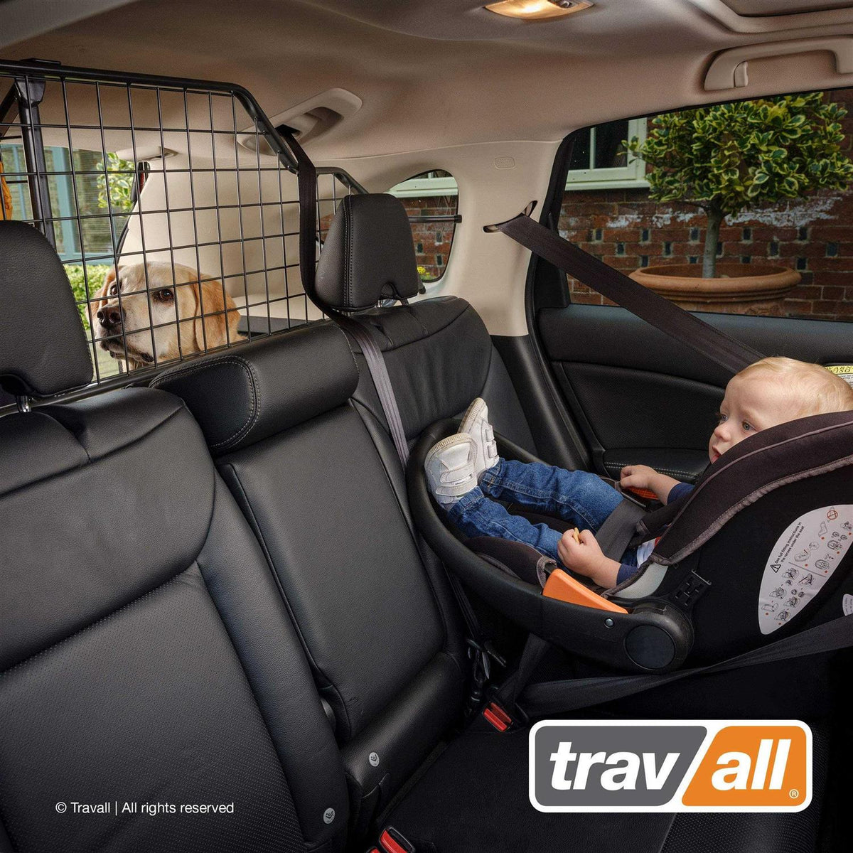 Pet/Cargo Barrier X105305
