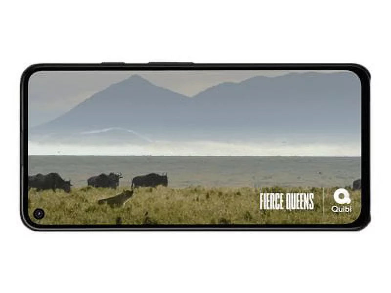 Google Pixel 4a 5G K395