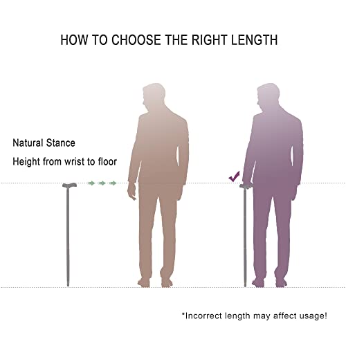 Ebony Wood Walking Cane Y655