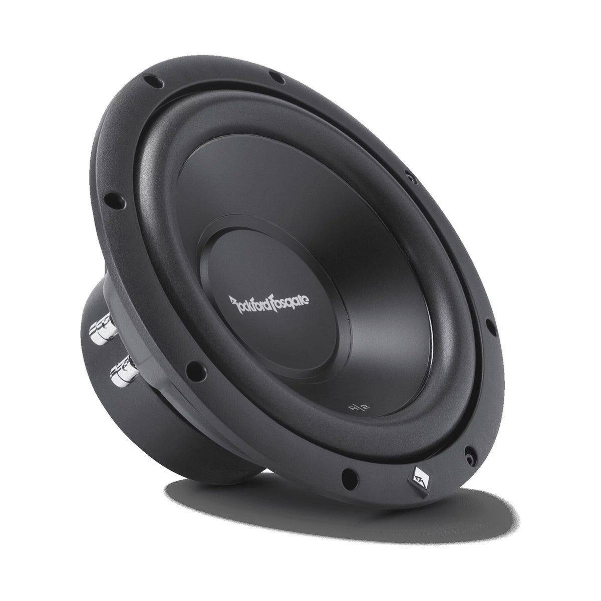 10" 500W Dual Car Subwoofer L1001