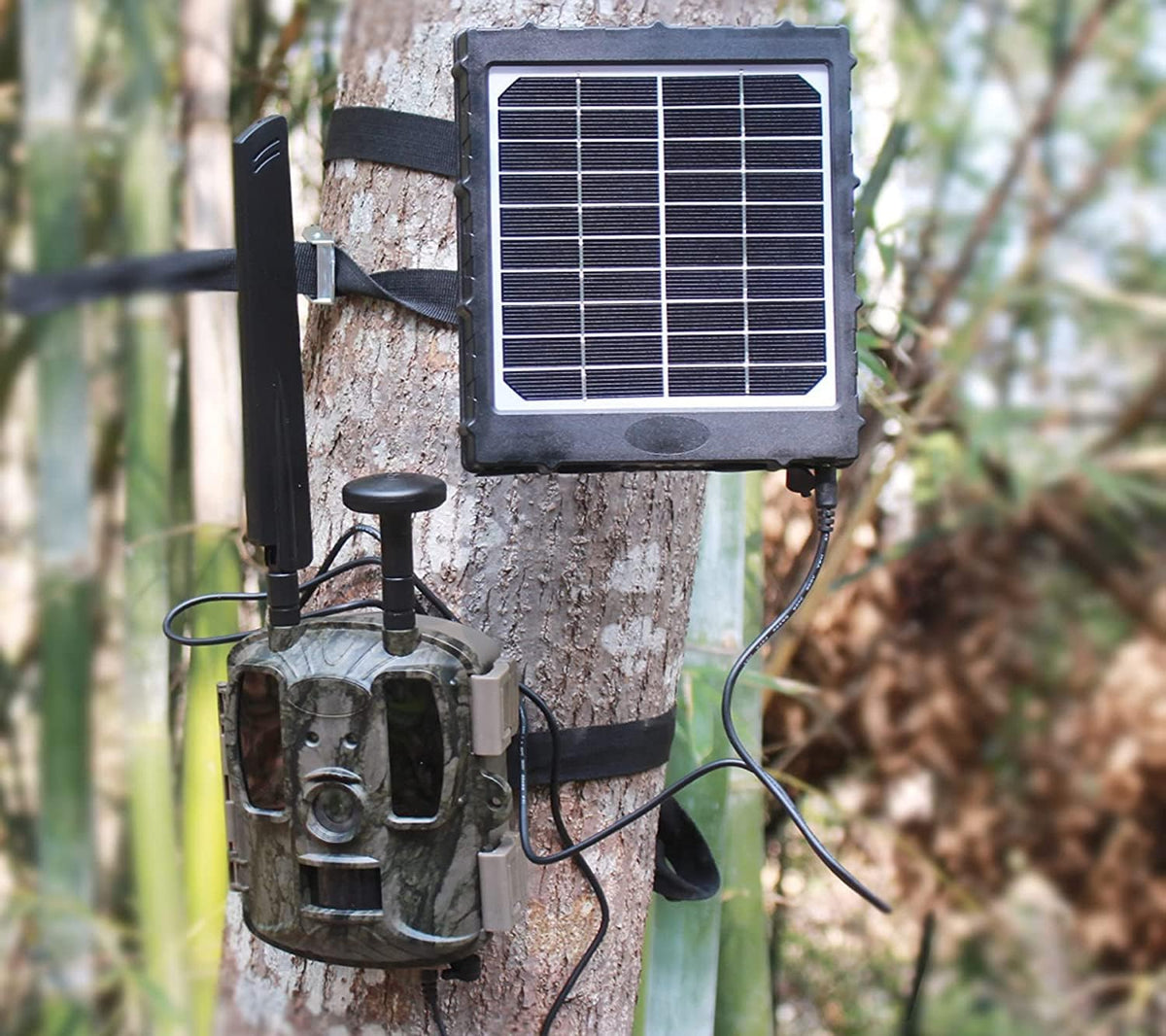 Trail Camera Solar Panel Kit with 8000 mAh Rechargeable Lithium Battery Z364
