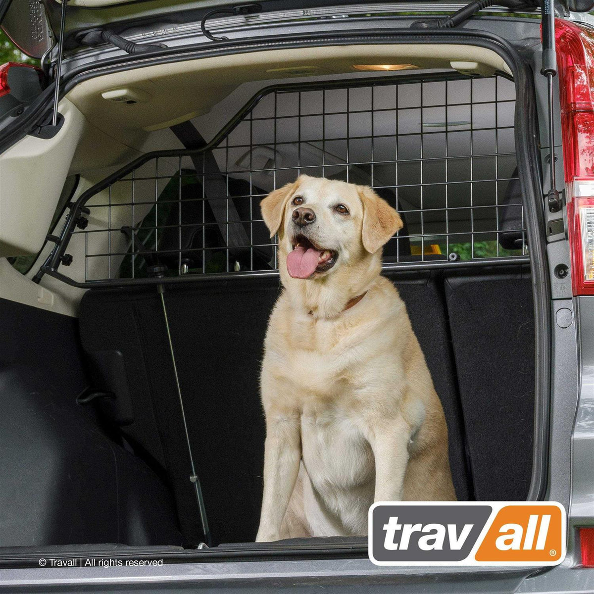 Pet/Cargo Barrier X105305