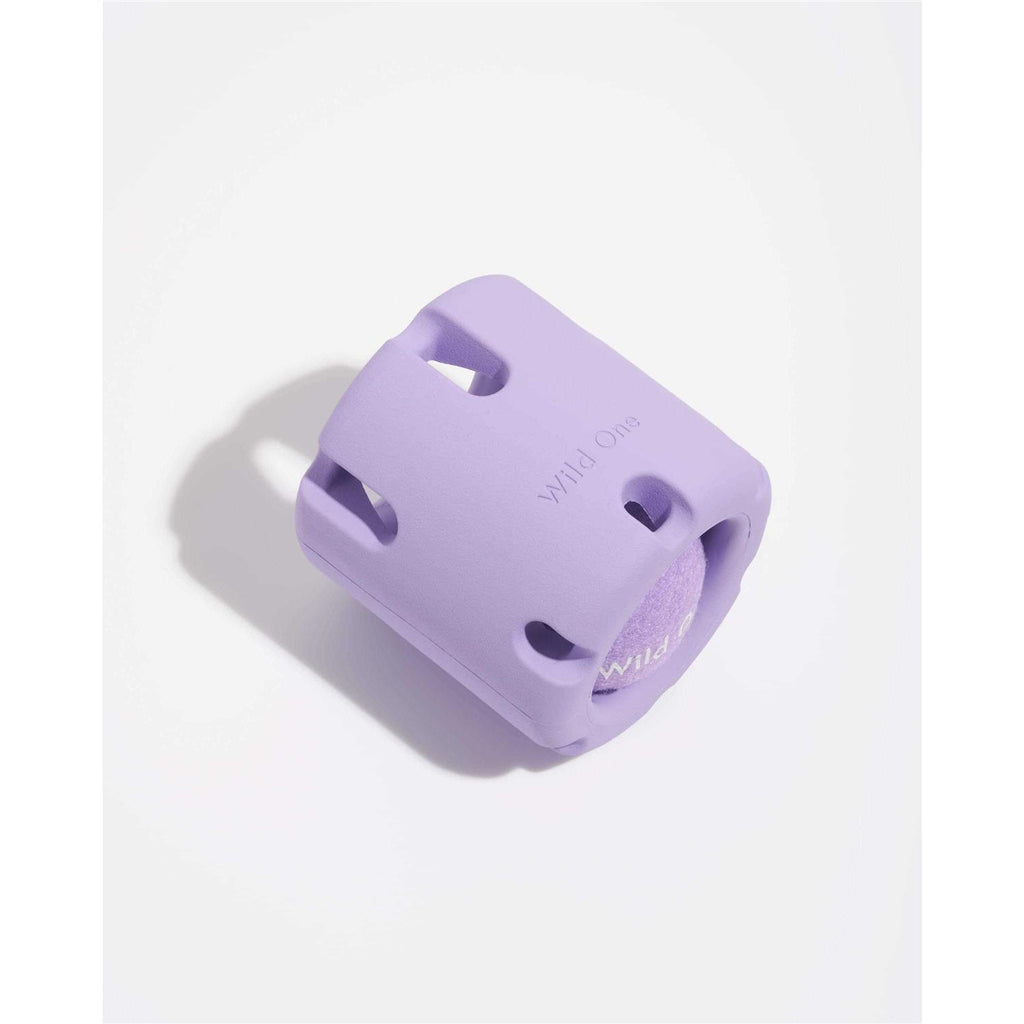 Tennis Dog Toy G343674