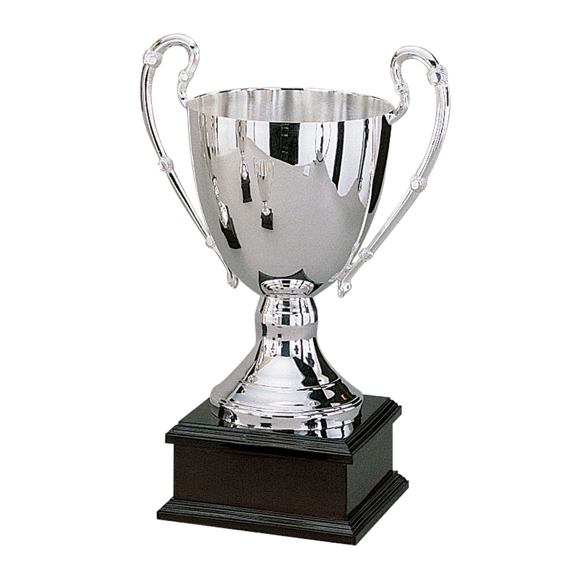 Trophy with Base W6590