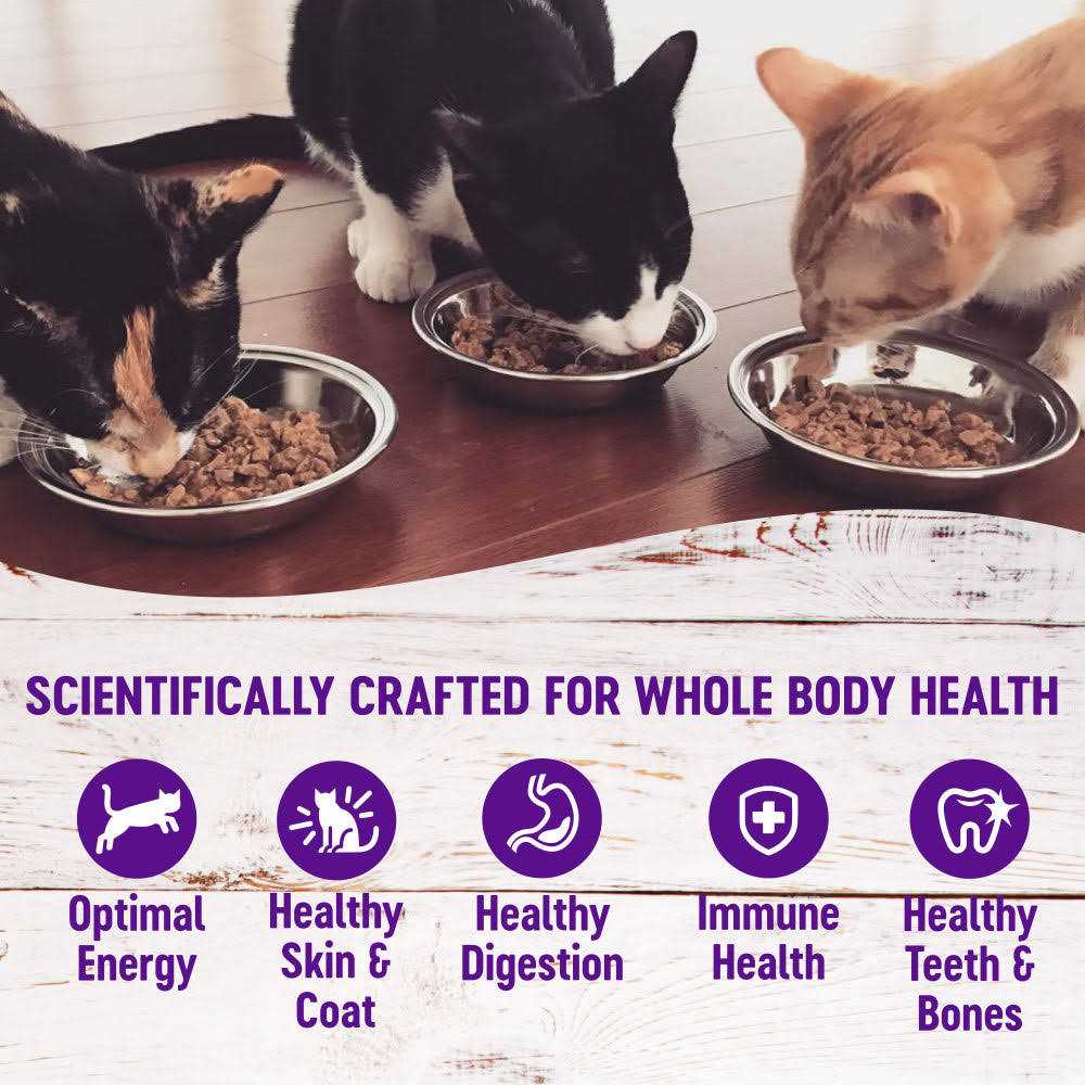 Grain Free Wet Cat Food N4464