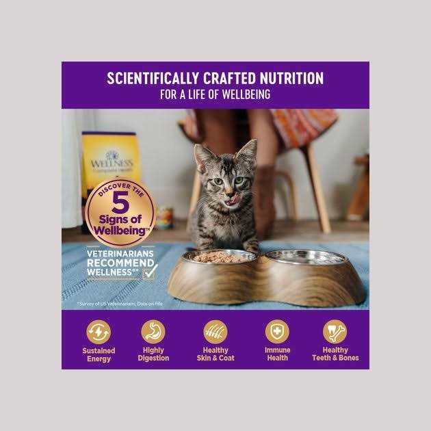 Grain Free Wet Cat Food N4464
