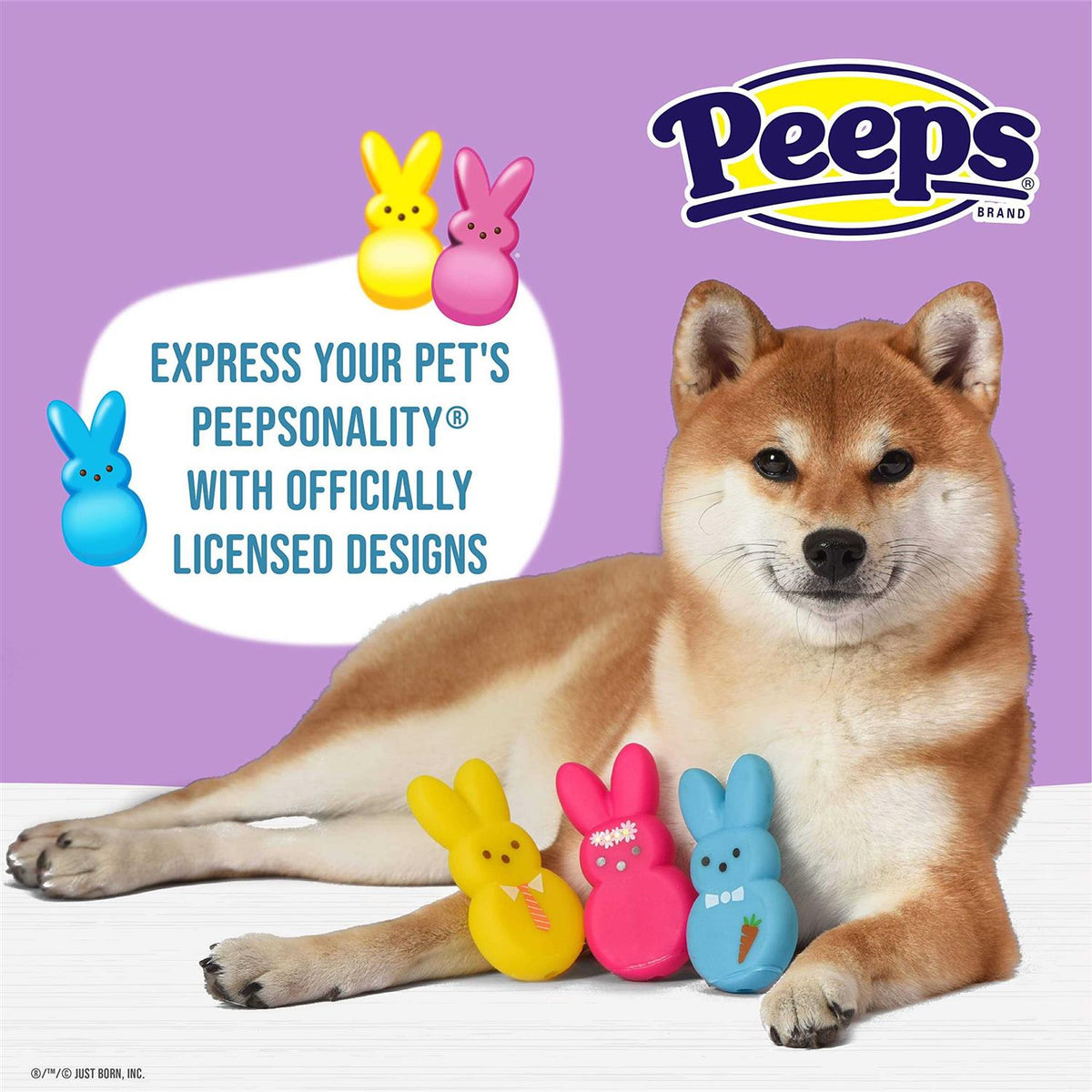Vinyl Dog Toy G862