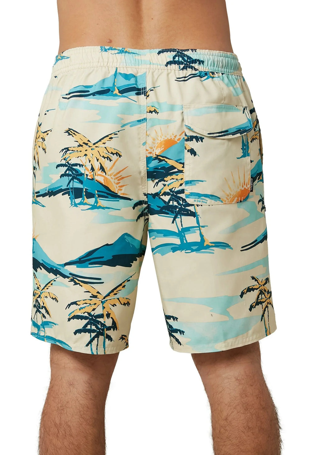 Bone Palm Trees Board Shorts Q527