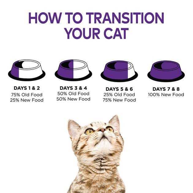 Grain Free Wet Cat Food N4464