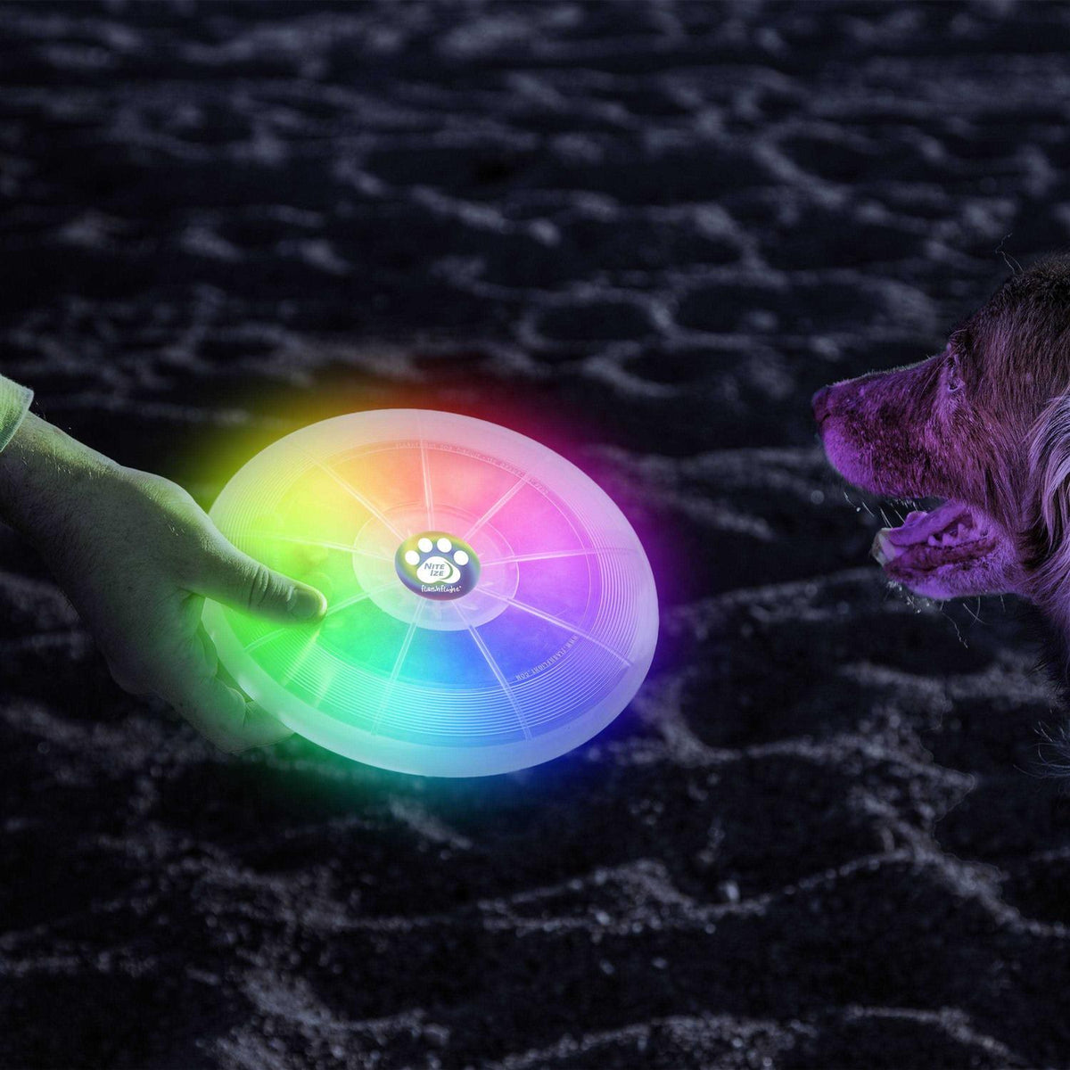 LED Flying Disc L3610